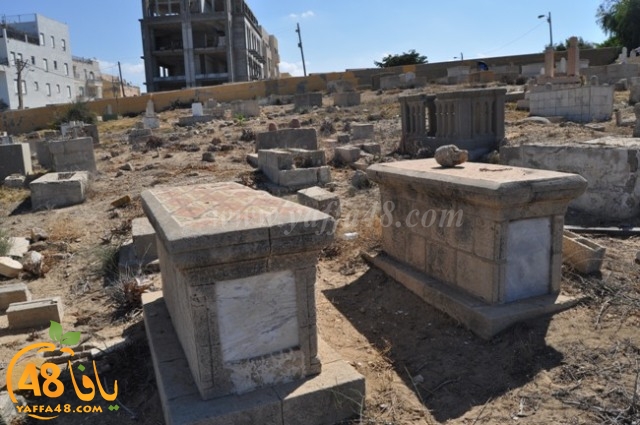 WhatsApp Image 2022-05-25 at 1.01.44 PM (2).jpg